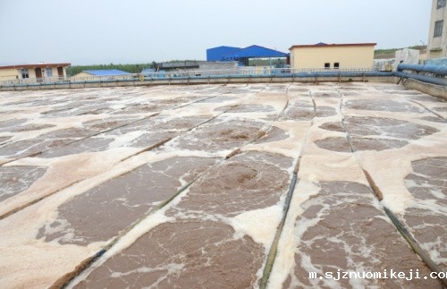 thumb_20190110154710_330