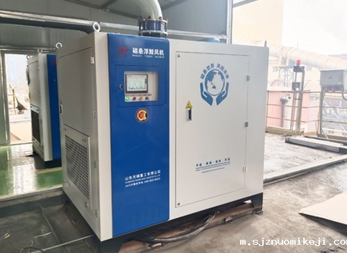 06磁悬浮鼓风机-山东某水泥厂